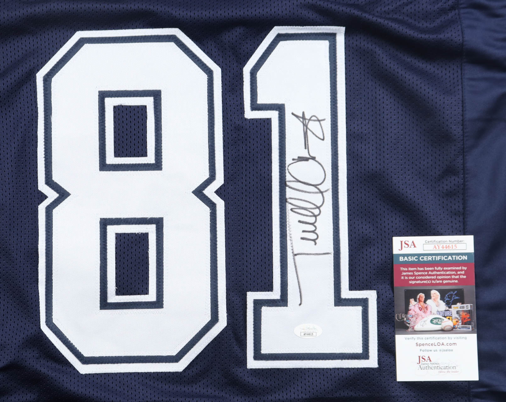 Terrell Owens Signed Jersey (JSA) at PristineAuction.com Terrell Owens Signed Jersey (JSA) at PristineAuction.com