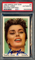 Sophia Loren Signed 1950 Maple Leaf Gum #8 (PSA) at PristineAuction.com