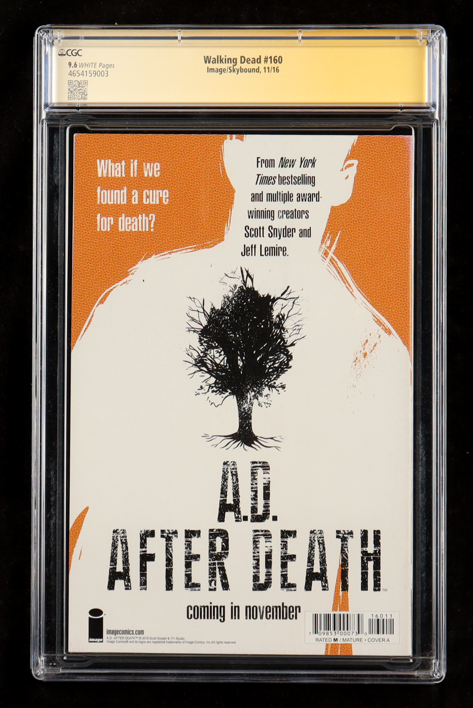 Chandler Riggs Signed 2016 "The Walking Dead" #160 Image Comic Book (CGC 9.6) at PristineAuction.com Chandler Riggs Signed 2016 "The Walking Dead" #160 Image Comic Book (CGC 9.6) at PristineAuction.com