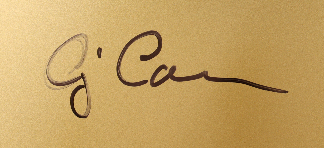 CJ Carr Signed Notre Dame Fighting Irish Full-Size Speed Helmet (Beckett) at PristineAuction.com CJ Carr Signed Notre Dame Fighting Irish Full-Size Speed Helmet (Beckett) at PristineAuction.com