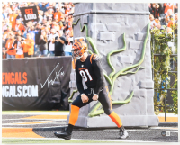 Trey Hendrickson Signed Bengals 16x20 Photo (Beckett) at PristineAuction.com