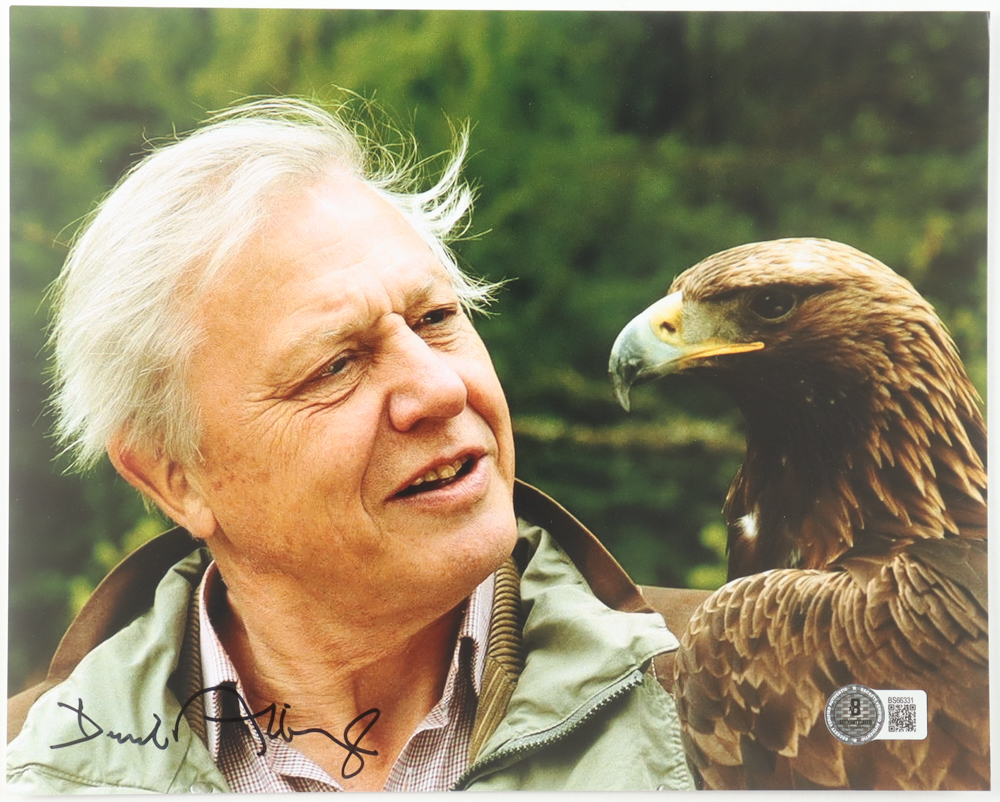 David Attenborough Signed "Planet Earth" 8x10 Photo (Beckett) at PristineAuction.com David Attenborough Signed "Planet Earth" 8x10 Photo (Beckett) at PristineAuction.com