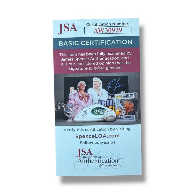 Billie Eilish Guitar with Signed Custom Insert Pickguard (JSA) at PristineAuction.com Billie Eilish Guitar with Signed Custom Insert Pickguard (JSA) at PristineAuction.com