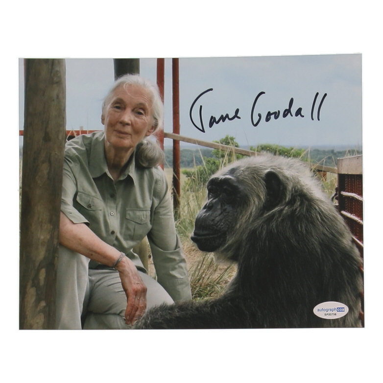 Jane Goodall Signed 8x10 Photo (ACOA) at PristineAuction.com Jane Goodall Signed 8x10 Photo (ACOA) at PristineAuction.com