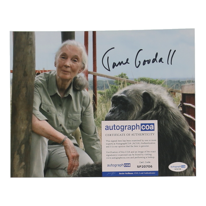 Jane Goodall Signed 8x10 Photo (ACOA) at PristineAuction.com Jane Goodall Signed 8x10 Photo (ACOA) at PristineAuction.com