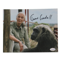 Jane Goodall Signed 8x10 Photo (ACOA) at PristineAuction.com