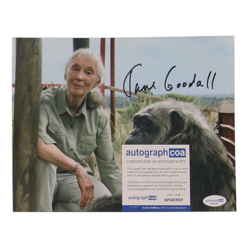 Jane Goodall Signed 8x10 Photo (ACOA) at PristineAuction.com Jane Goodall Signed 8x10 Photo (ACOA) at PristineAuction.com