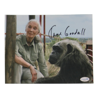 Jane Goodall Signed 8x10 Photo (ACOA) at PristineAuction.com