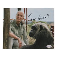 Jane Goodall Signed 8x10 Photo (ACOA) at PristineAuction.com