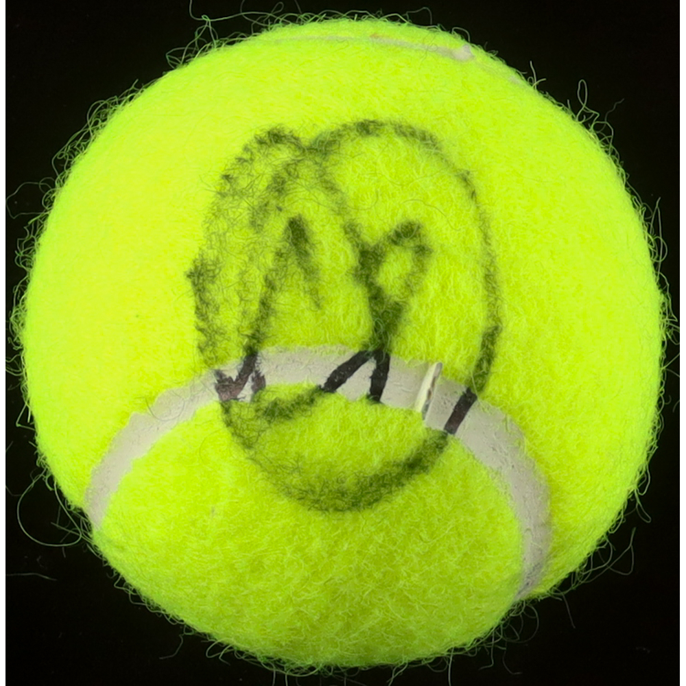 Novak Djokovic Signed Tennis Ball (ACOA) at PristineAuction.com