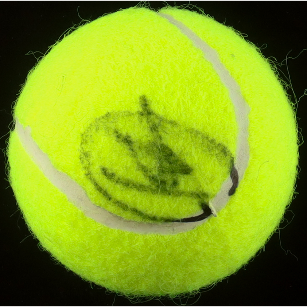 Novak Djokovic Signed Tennis Ball (ACOA) at PristineAuction.com