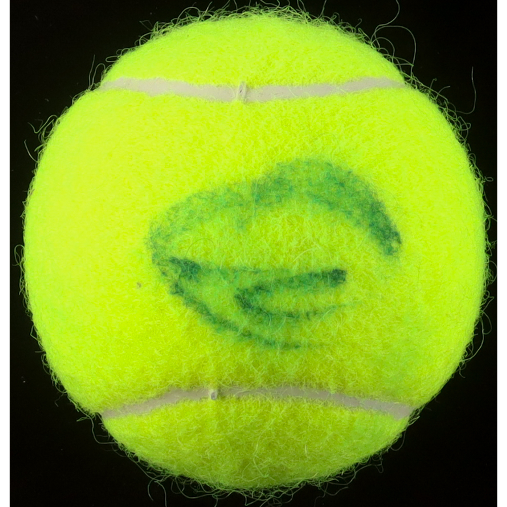 Novak Djokovic Signed Tennis Ball (ACOA) at PristineAuction.com