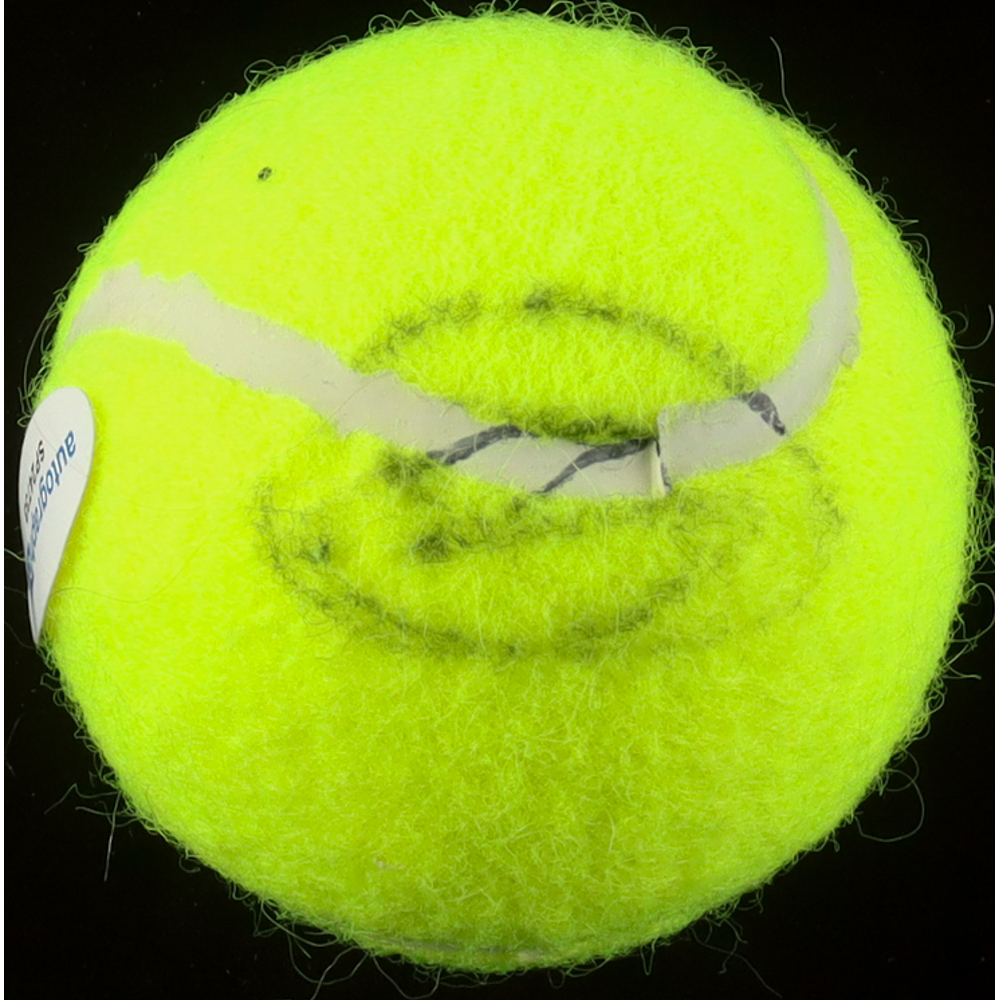 Novak Djokovic Signed Tennis Ball (ACOA) at PristineAuction.com