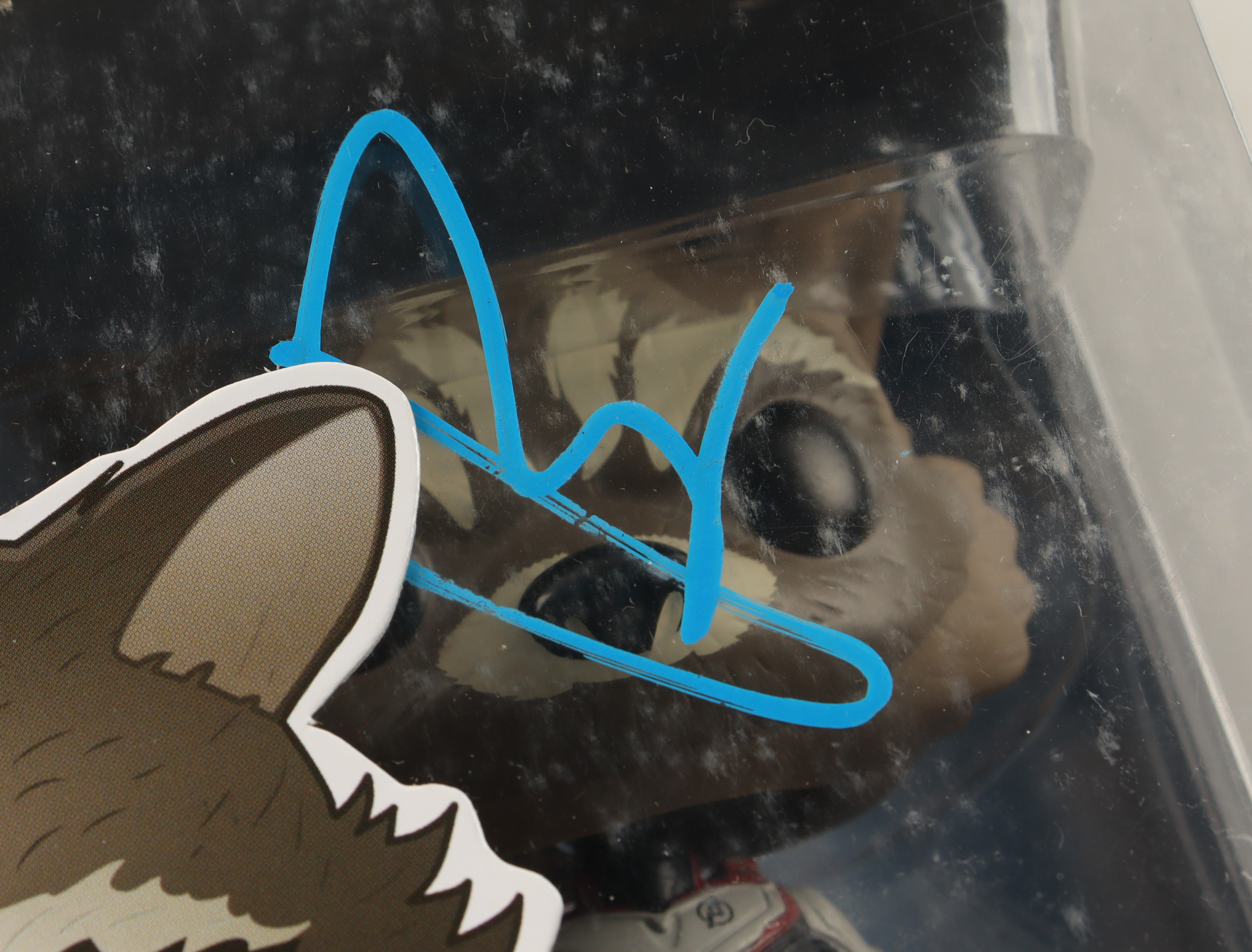 Bradley Cooper Signed "Avengers" #462 Rocket Funko Pop! Vinyl Figure (ACOA) at PristineAuction.com Bradley Cooper Signed "Avengers" #462 Rocket Funko Pop! Vinyl Figure (ACOA) at PristineAuction.com