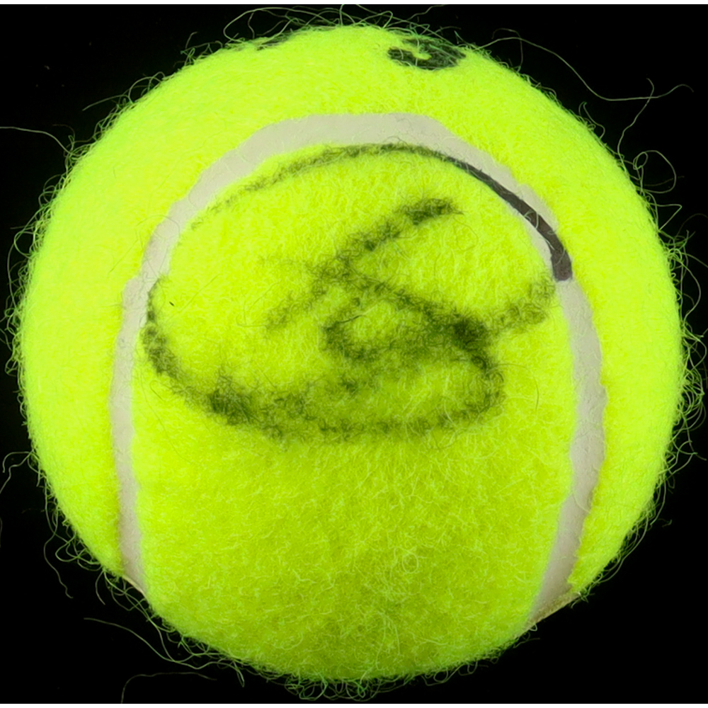 Novak Djokovic Signed Tennis Ball (ACOA) at PristineAuction.com