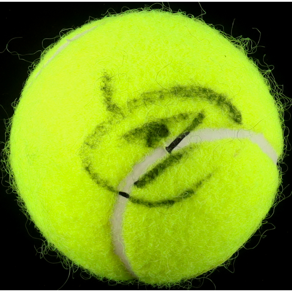 Novak Djokovic Signed Tennis Ball (ACOA) at PristineAuction.com