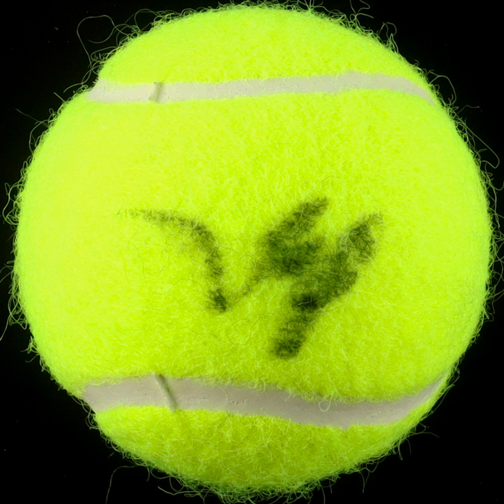 Daniil Medvedev Signed Tennis Ball (ACOA) at PristineAuction.com