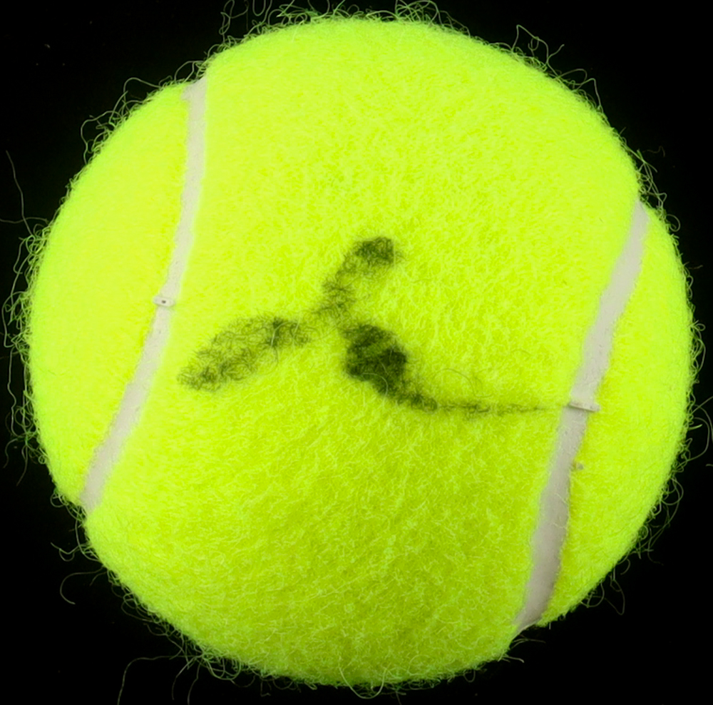 Daniil Medvedev Signed Tennis Ball (ACOA) at PristineAuction.com Daniil Medvedev Signed Tennis Ball (ACOA) at PristineAuction.com