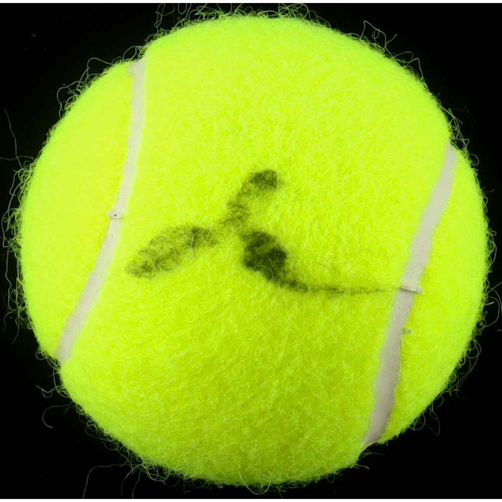 Daniil Medvedev Signed Tennis Ball (ACOA) at PristineAuction.com