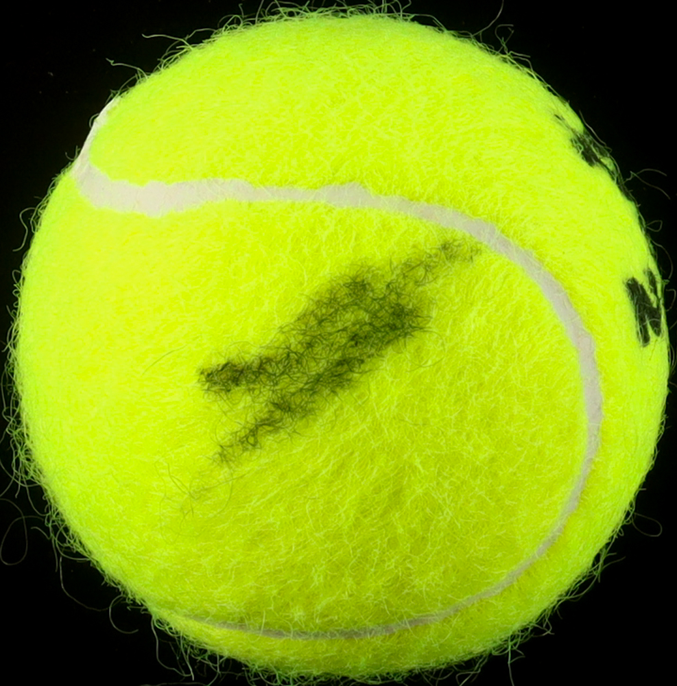 Jannik Sinner Signed Tennis Ball (ACOA) at PristineAuction.com Jannik Sinner Signed Tennis Ball (ACOA) at PristineAuction.com