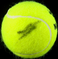 Jannik Sinner Signed Tennis Ball (ACOA) at PristineAuction.com