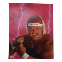 Hulk Hogan Signed WWE 16x20 Photo (Beckett) at PristineAuction.com