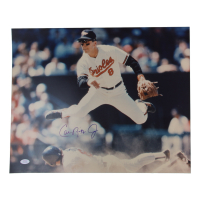 Cal Ripken Jr. Signed Orioles 16x20 Photo (PSA) at PristineAuction.com