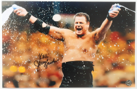 Jerry "King" Lawler Signed WWE 11x17 Photo (Authentic Ink) at PristineAuction.com