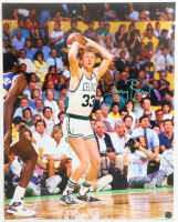 Larry Bird Signed Celtics 16x20 Photo (Authentic Ink) at PristineAuction.com