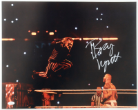 Bray Wyatt Signed WWE 16x20 Photo (JSA) at PristineAuction.com