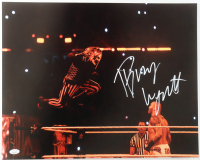 Bray Wyatt Signed WWE 16x20 Photo (JSA) at PristineAuction.com