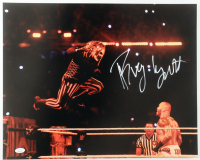 Bray Wyatt Signed WWE 16x20 Photo (JSA) at PristineAuction.com