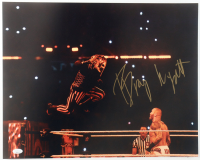 Bray Wyatt Signed WWE 16x20 Photo (JSA) at PristineAuction.com
