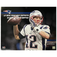 Tom Brady LE Patriots "6x SB Champ" 16x20 Photo at PristineAuction.com
