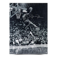 Michael Jordan Signed Bulls "Frozen in Time" 30x40 Photo (UDA) at PristineAuction.com