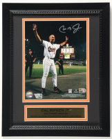 Cal Ripken Signed Orioles Custom Framed Photo (Fanatics & MLB) at PristineAuction.com