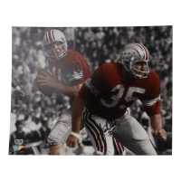 Jim Otis Signed Ohio State Buckeyes 16x20 Photo (Beckett) at PristineAuction.com