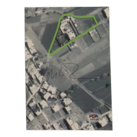 William H. McRaven Signed 4.5x6.5 Photo (PSA) at PristineAuction.com