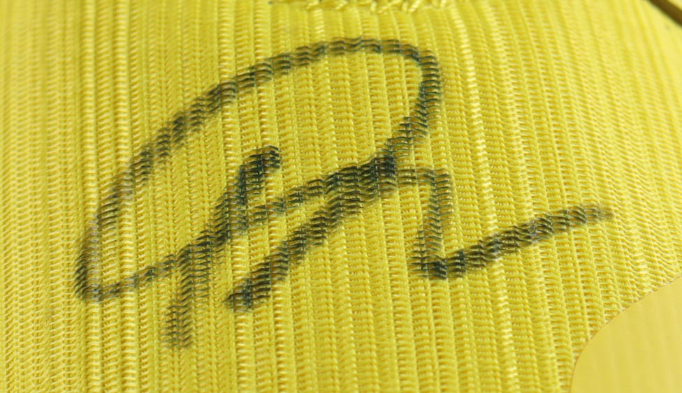 Giannis Antetokounmpo Signed Player Edition Basketball Shoe (Beckett) at PristineAuction.com Giannis Antetokounmpo Signed Player Edition Basketball Shoe (Beckett) at PristineAuction.com