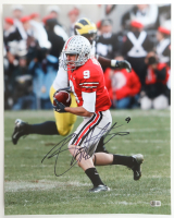 Brian Hartline Signed Ohio State Buckeyes 16x20 Photo (Beckett) at PristineAuction.com