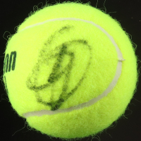 Novak Djokovic Signed Tennis Ball (PSA) at PristineAuction.com