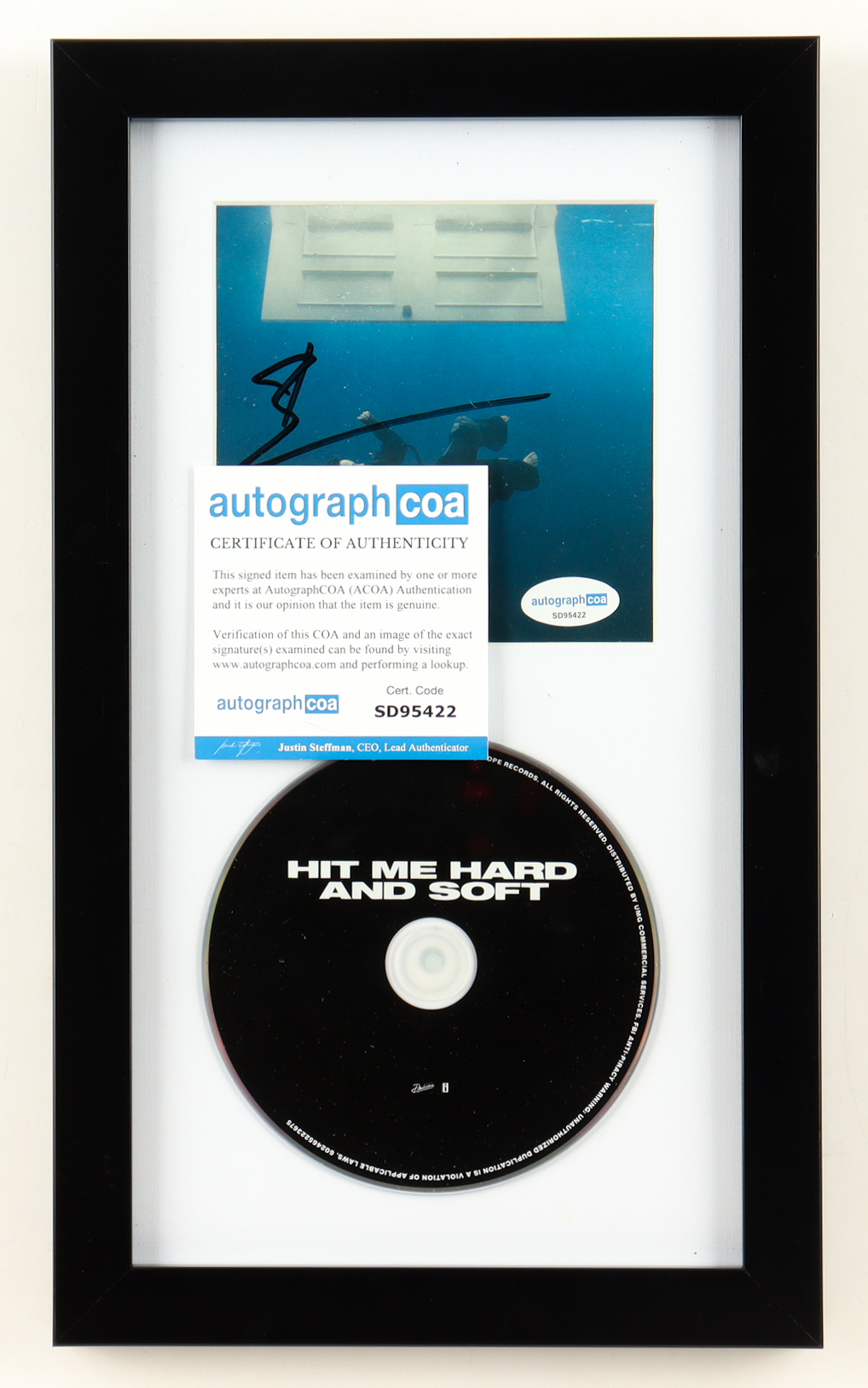 Billie Eilish Signed "Hit Me Hard And Soft" Custom Framed CD Insert Display With Disc (ACOA) at PristineAuction.com Billie Eilish Signed "Hit Me Hard And Soft" Custom Framed CD Insert Display With Disc (ACOA) at PristineAuction.com