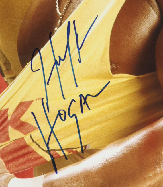 Hulk Hogan Signed Custom Framed Photo Display (Steiner) at PristineAuction.com Hulk Hogan Signed Custom Framed Photo Display (Steiner) at PristineAuction.com