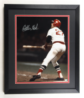Carlton Fisk Signed Custom Framed Photo Display (AIV) at PristineAuction.com