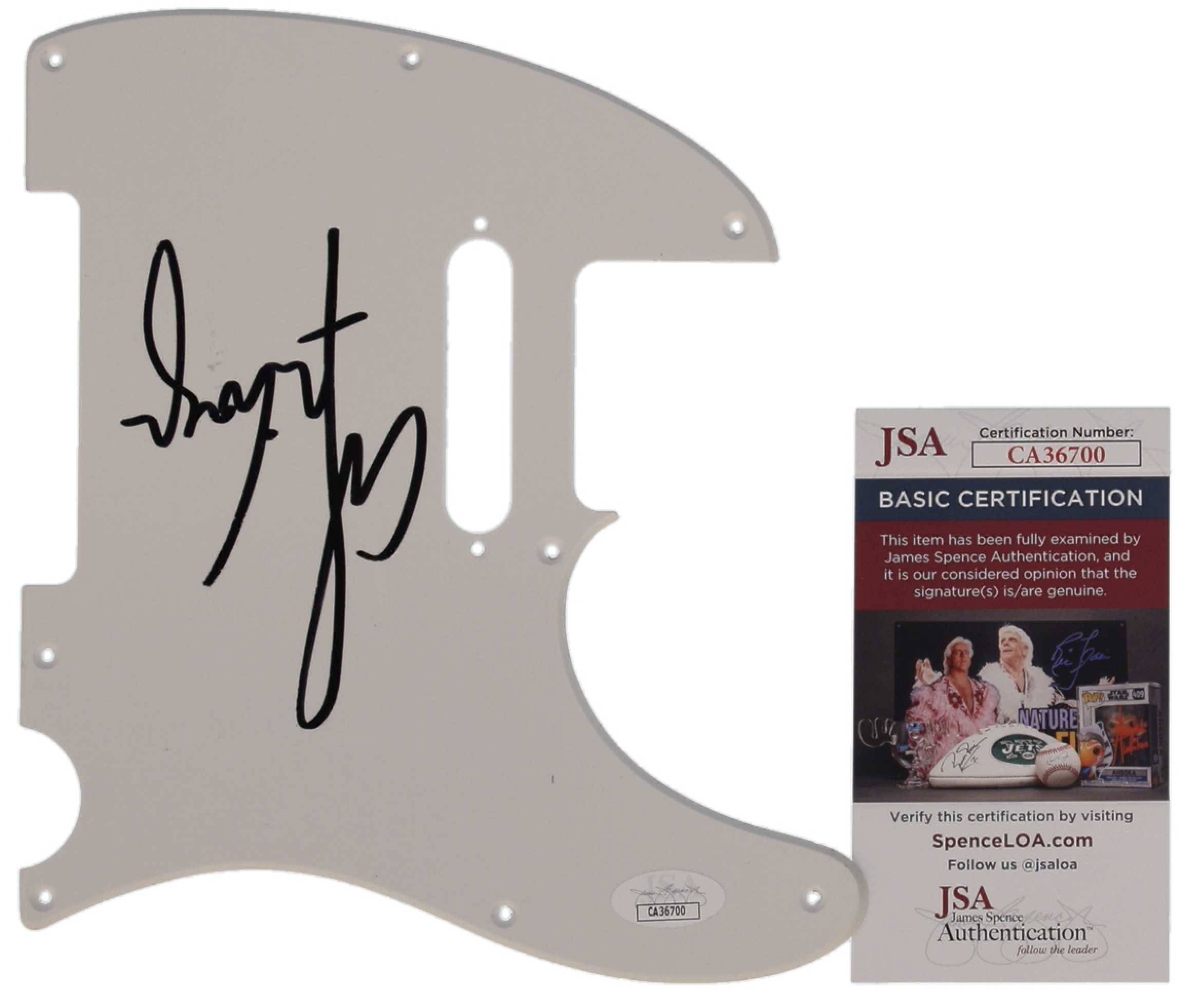 Alice Cooper Signed Pickguard (JSA) at PristineAuction.com Alice Cooper Signed Pickguard (JSA) at PristineAuction.com