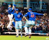 Pat Hughes Signed Cubs 16x20 Photo with Extensive Inscription (JSA) at PristineAuction.com