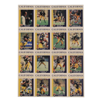 1989 Smokey Bear California Golden Bears Uncut Sheet of (16) Cards at PristineAuction.com