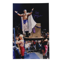 Jerry "King" Lawler Signed WWE 11x17 Photo (Authentic Ink) at PristineAuction.com