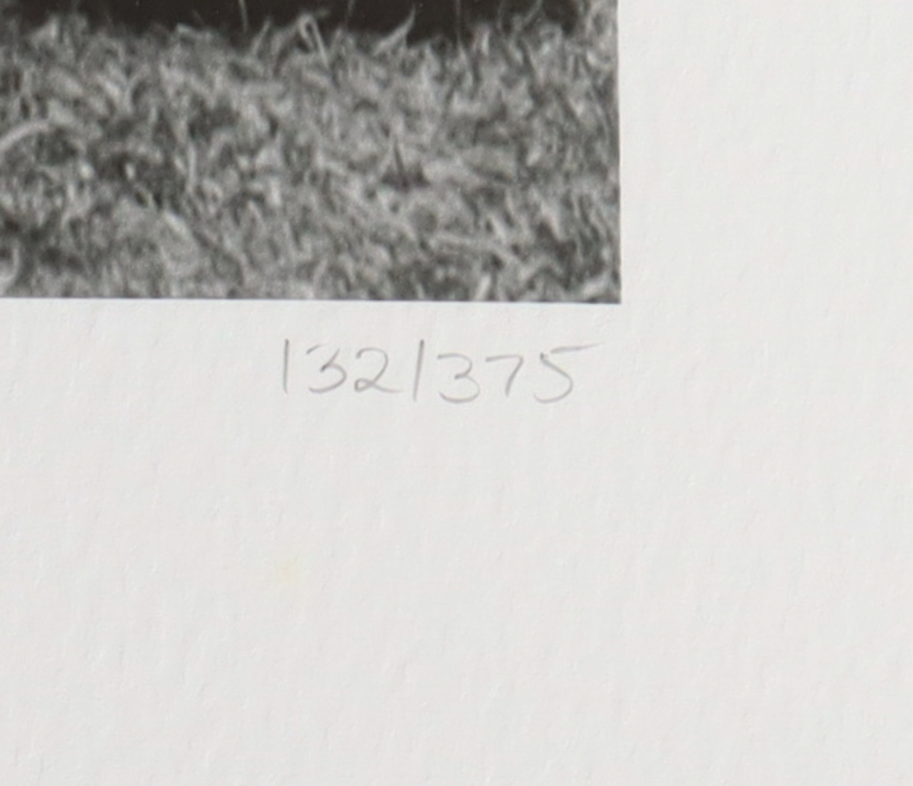 Historical Photo Archive - "Major League Baseball All Stars 1937" with Lou Gehrig, Joe Cronin, Joe DiMaggio, Charlie Gehringer Limited Edition 16x22.5 Fine Art Giclee on Paper # 132 /375 at PristineAuction.com Historical Photo Archive - "Major League Baseball All Stars 1937" with Lou Gehrig, Joe Cronin, Joe DiMaggio, Charlie Gehringer Limited Edition 16x22.5 Fine Art Giclee on Paper # 132 /375 at PristineAuction.com