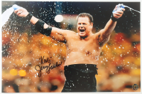 Jerry "The King" Lawler Signed WWE 11x17 Photo (Authentic Ink) at PristineAuction.com